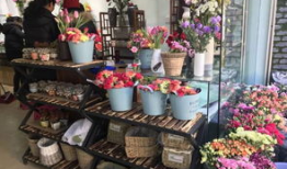 吃瓜最新事件爆料花店老板,揭秘背后惊人真相